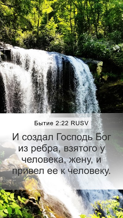 Бытие 2:22 RUSV Bible Verse Image