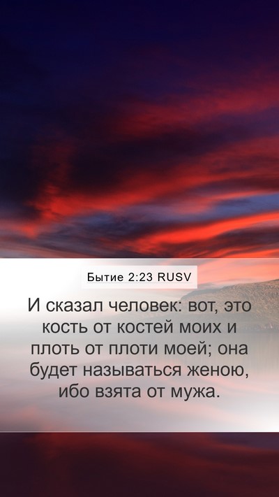 Бытие 2:23 RUSV Bible Verse Image