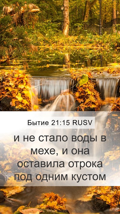 Бытие 21:15 RUSV Mobile Phone Wallpaper - и не стало воды в мехе, и - Mobile Bible Verse Wallpaper