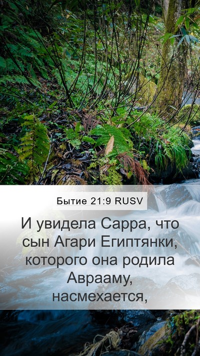 Бытие 21:9 RUSV Bible Verse Image