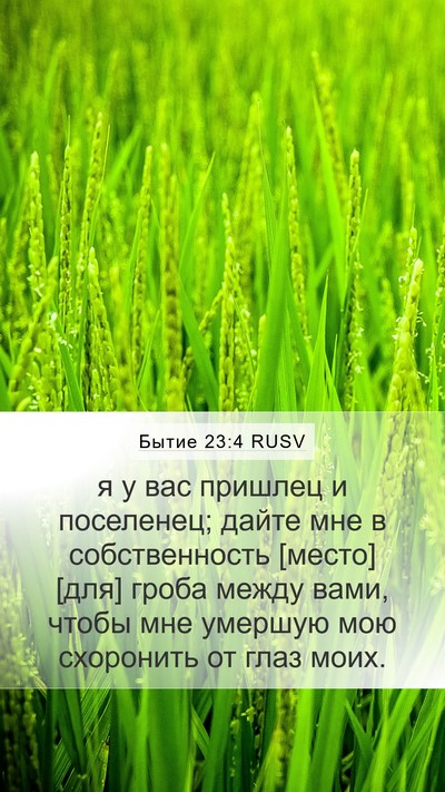 Бытие 23:4 RUSV Bible Verse Image