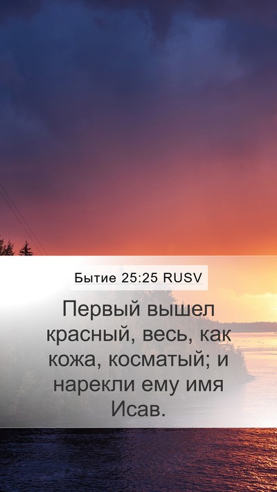 Бытие 25:25 RUSV Bible Verse Image