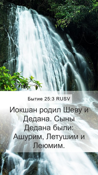 Бытие 25:3 RUSV Bible Verse Image