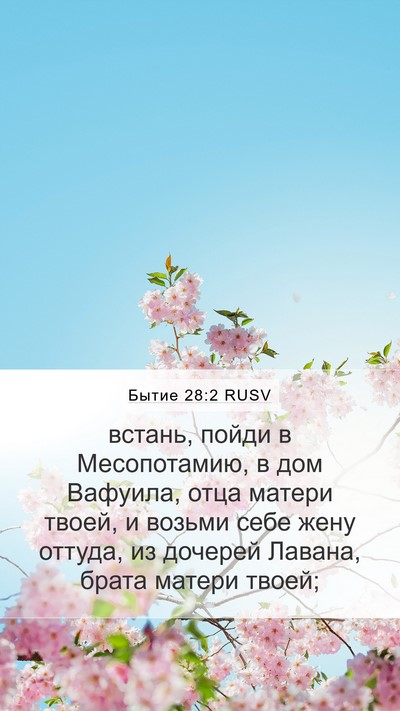 Бытие 28:2 RUSV Bible Verse Image
