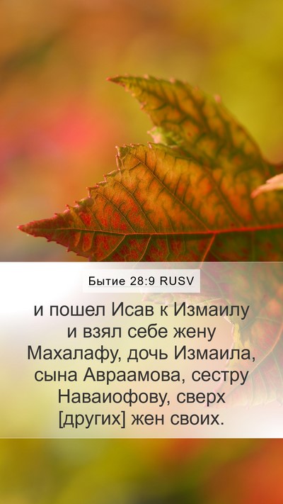 Бытие 28:9 RUSV Bible Verse Image