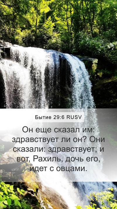 Бытие 29:6 RUSV Bible Verse Image