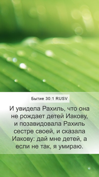 Бытие 30:1 RUSV Bible Verse Image