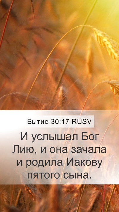 Бытие 30:17 RUSV Bible Verse Image