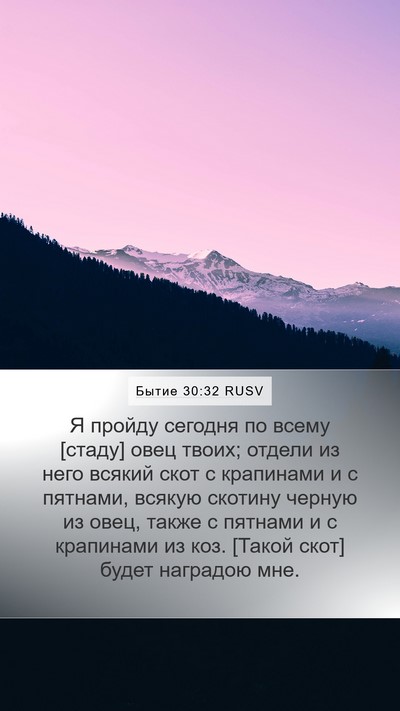 Бытие 30:32 RUSV Mobile Phone Wallpaper - Я пройду сегодня по всему - Mobile Bible Verse Wallpaper