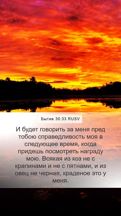Бытие 30:33 RUSV Bible Verse Image
