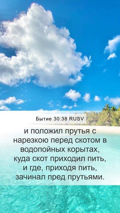 Бытие 30:38 RUSV Mobile Phone Wallpaper - и положил прутья с - Mobile Bible Verse Wallpaper