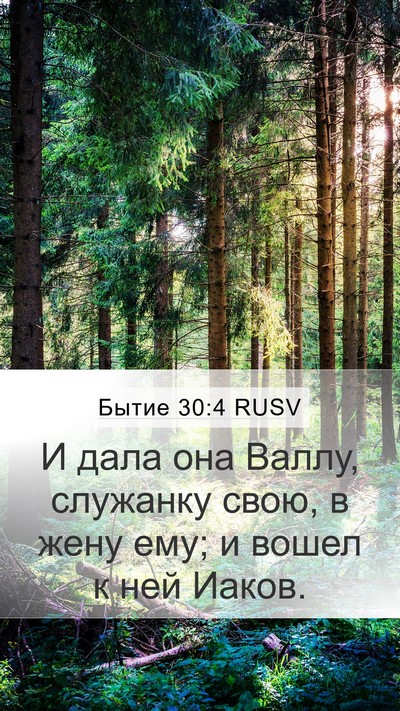Бытие 30:4 RUSV Bible Verse Image