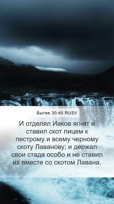 Бытие 30:40 RUSV Mobile Phone Wallpaper - И отделял Иаков ягнят и - Mobile Bible Verse Wallpaper