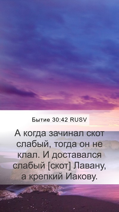 Бытие 30:42 RUSV Mobile Phone Wallpaper - А когда зачинал скот - Mobile Bible Verse Wallpaper
