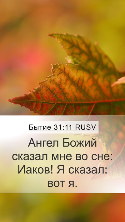 Бытие 31:11 RUSV Bible Verse Image