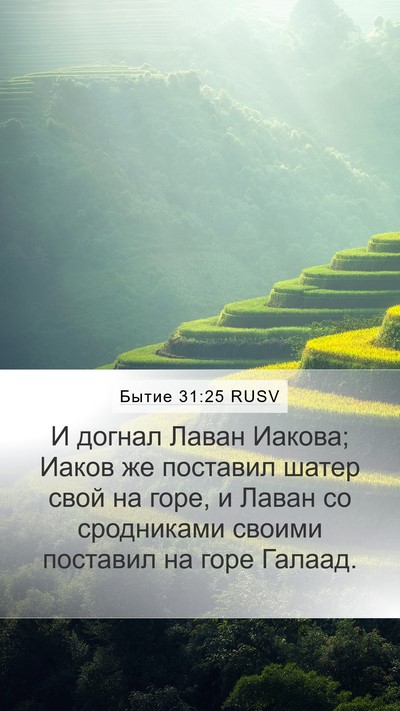 Бытие 31:25 RUSV Mobile Phone Wallpaper - И догнал Лаван Иакова; - Mobile Bible Verse Wallpaper