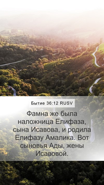 Бытие 36:12 RUSV Mobile Phone Wallpaper - Фамна же была наложница - Mobile Bible Verse Wallpaper