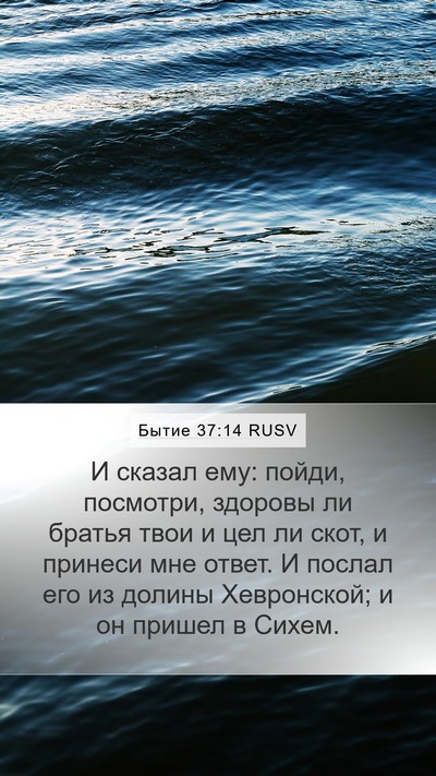 Бытие 37:14 RUSV Bible Verse Image