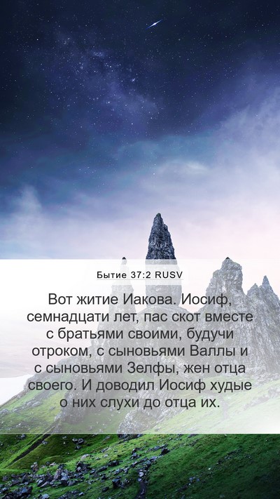 Бытие 37:2 RUSV Bible Verse Image