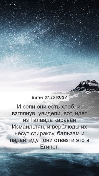 Бытие 37:25 RUSV Bible Verse Image