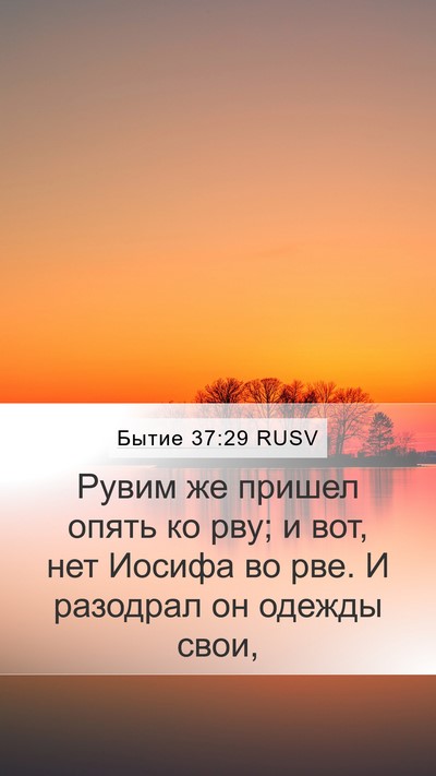 Бытие 37:29 RUSV Bible Verse Image