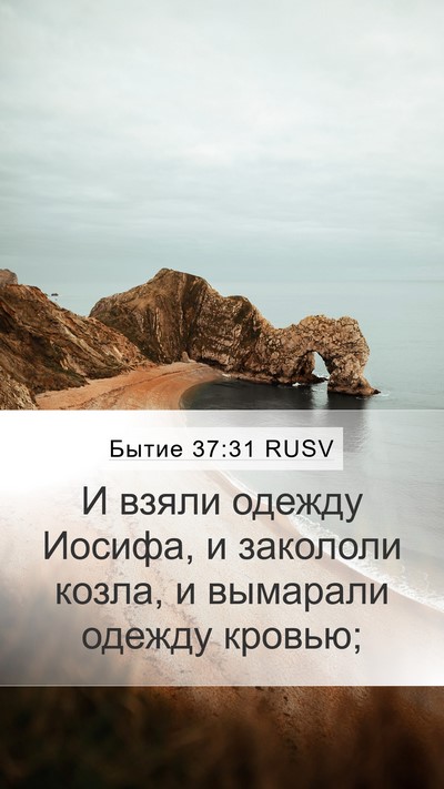 Бытие 37:31 RUSV Bible Verse Image