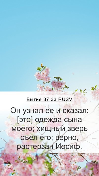 Бытие 37:33 RUSV Bible Verse Image