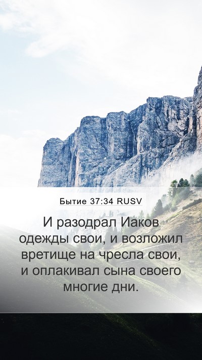 Бытие 37:34 RUSV Bible Verse Image