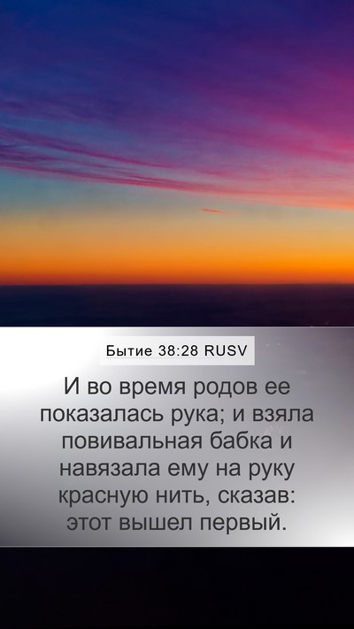 Бытие 38:28 RUSV Bible Verse Image