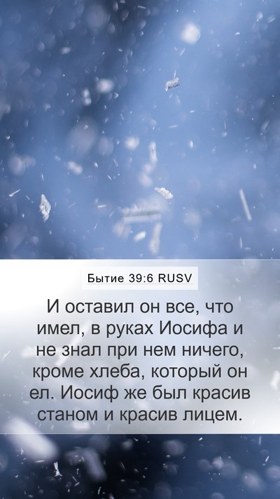 Бытие 39:6 RUSV Bible Verse Image
