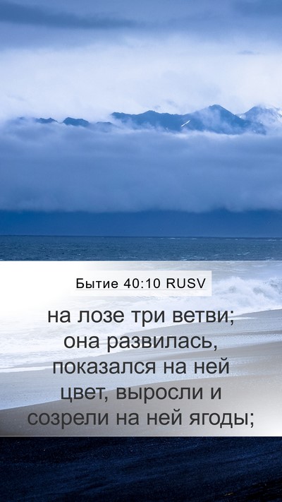 Бытие 40:10 RUSV Bible Verse Image