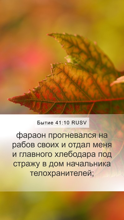 Бытие 41:10 RUSV Mobile Phone Wallpaper - фараон прогневался на - Mobile Bible Verse Wallpaper