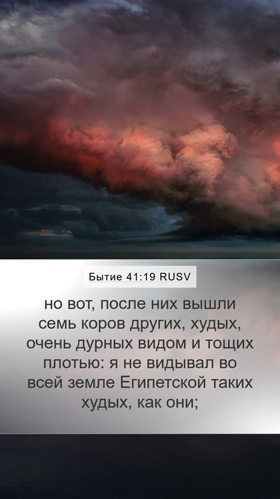 Бытие 41:19 RUSV Bible Verse Image