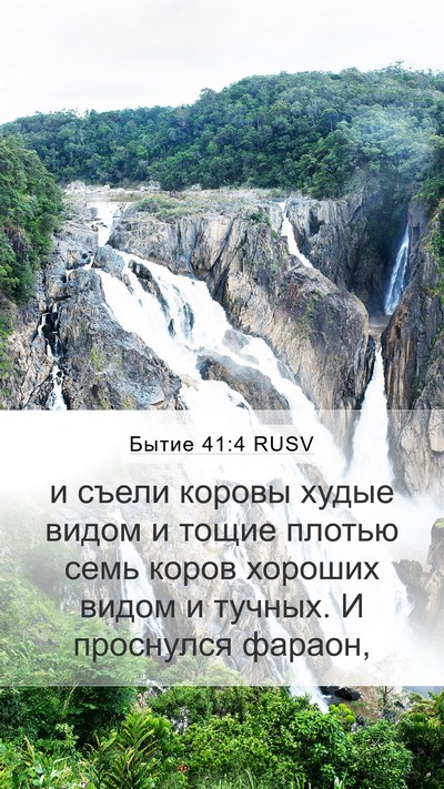 Бытие 41:4 RUSV Mobile Phone Wallpaper - и съели коровы худые видом - Mobile Bible Verse Wallpaper