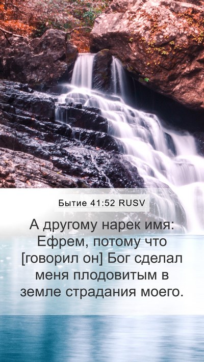 Бытие 41:52 RUSV Bible Verse Image