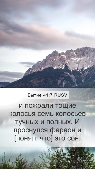 Бытие 41:7 RUSV Mobile Phone Wallpaper - и пожрали тощие колосья - Mobile Bible Verse Wallpaper