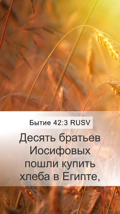 Бытие 42:3 RUSV Bible Verse Image