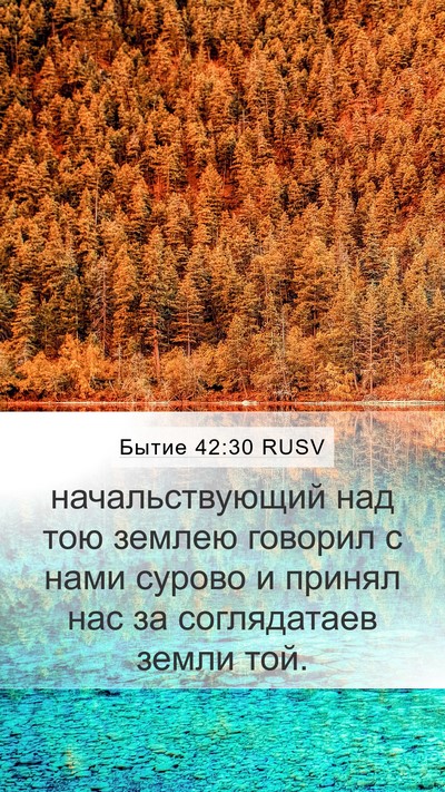 Бытие 42:30 RUSV Mobile Phone Wallpaper - начальствующий над тою - Mobile Bible Verse Wallpaper