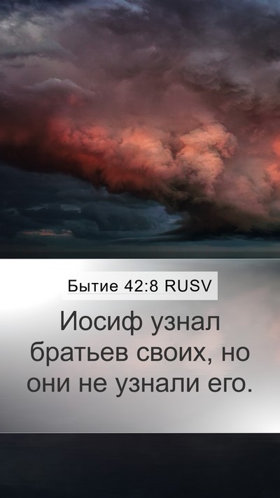 Бытие 42:8 RUSV Mobile Phone Wallpaper - Иосиф узнал братьев своих, - Mobile Bible Verse Wallpaper