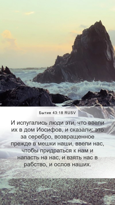 Бытие 43:18 RUSV Bible Verse Image