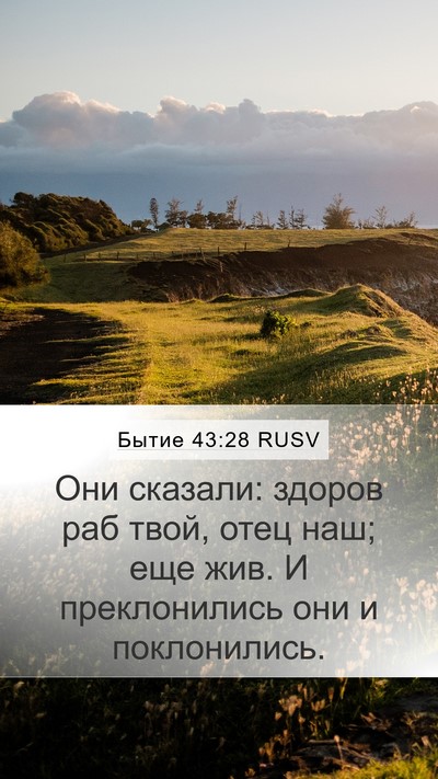 Бытие 43:28 RUSV Bible Verse Image