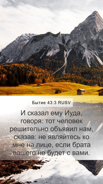 Бытие 43:3 RUSV Bible Verse Image