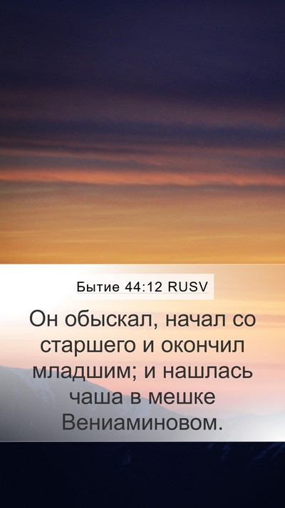 Бытие 44:12 RUSV Mobile Phone Wallpaper - Он обыскал, начал со - Mobile Bible Verse Wallpaper