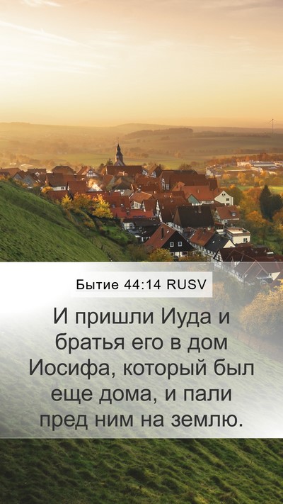 Бытие 44:14 RUSV Bible Verse Image