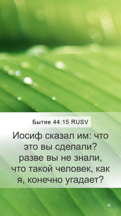 Бытие 44:15 RUSV Bible Verse Image