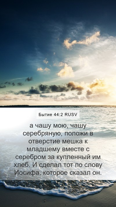 Бытие 44:2 RUSV Mobile Phone Wallpaper - а чашу мою, чашу - Mobile Bible Verse Wallpaper