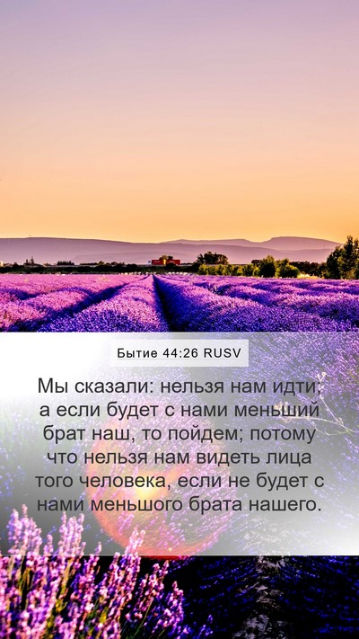 Бытие 44:26 RUSV Bible Verse Image