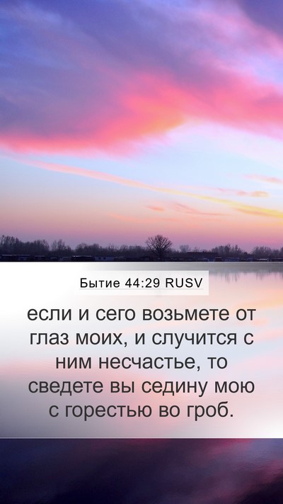Бытие 44:29 RUSV Mobile Phone Wallpaper - если и сего возьмете от - Mobile Bible Verse Wallpaper