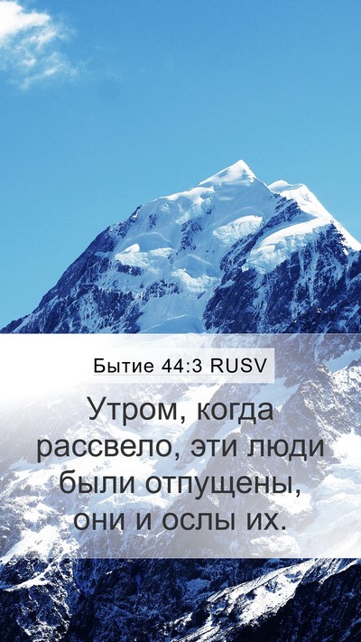 Бытие 44:3 RUSV Mobile Phone Wallpaper - Утром, когда рассвело, эти - Mobile Bible Verse Wallpaper
