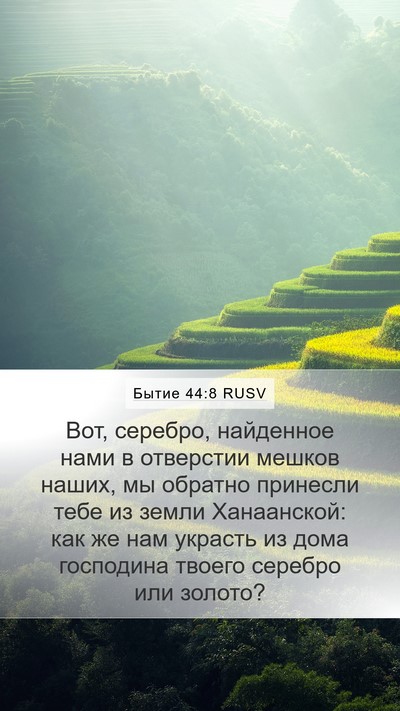 Бытие 44:8 RUSV Mobile Phone Wallpaper - Вот, серебро, найденное - Mobile Bible Verse Wallpaper